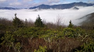 Hiked up thru the clouds to a beautiful view of Craggy and Mitchell.  Everything is as it should be.